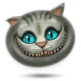 @catsbtn_bot