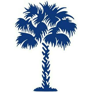 Palm 🌴