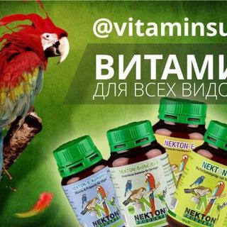 Витамины для птиц 💊